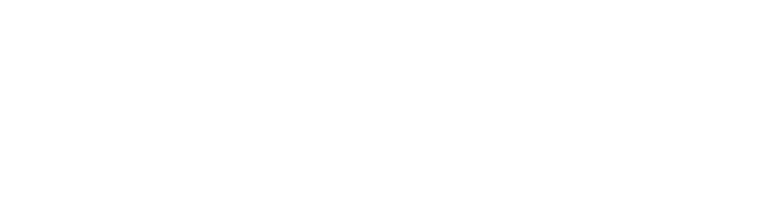 Digiconsult